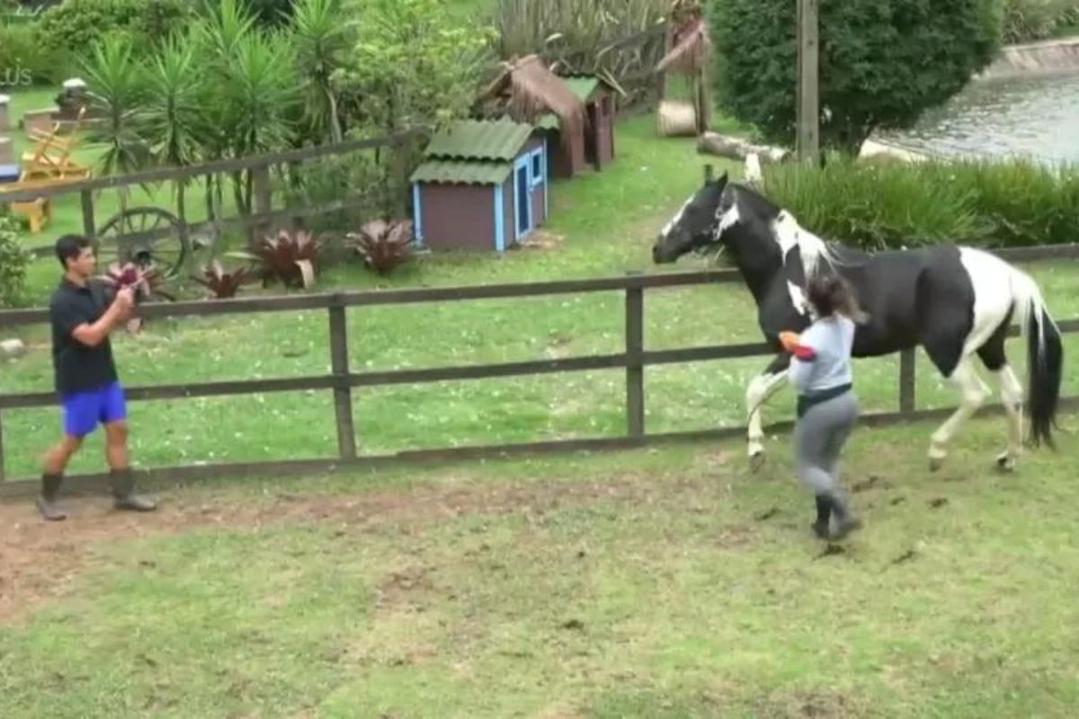 A Fazenda Integrante Toca O Sino E Pede Pra Sair Saiba Mais Ofuxico