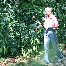 Xuxa caminhando na floresta