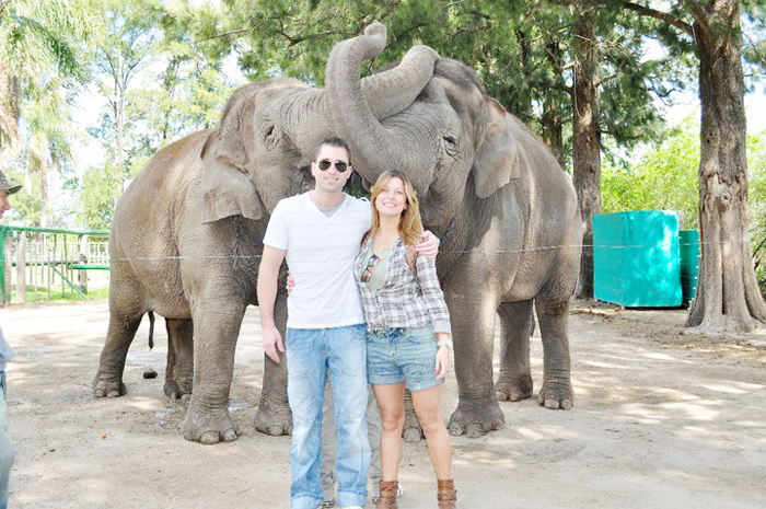 O casal fez pose na frente dos elefantes