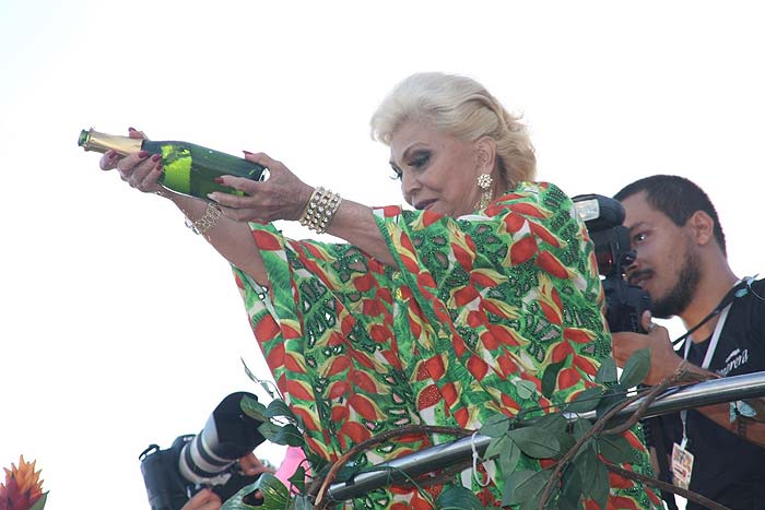 As melhores fotos de Hebe Camargo no Carnaval de Salvador - Aniversário no trio elétrico de Claudia leitte