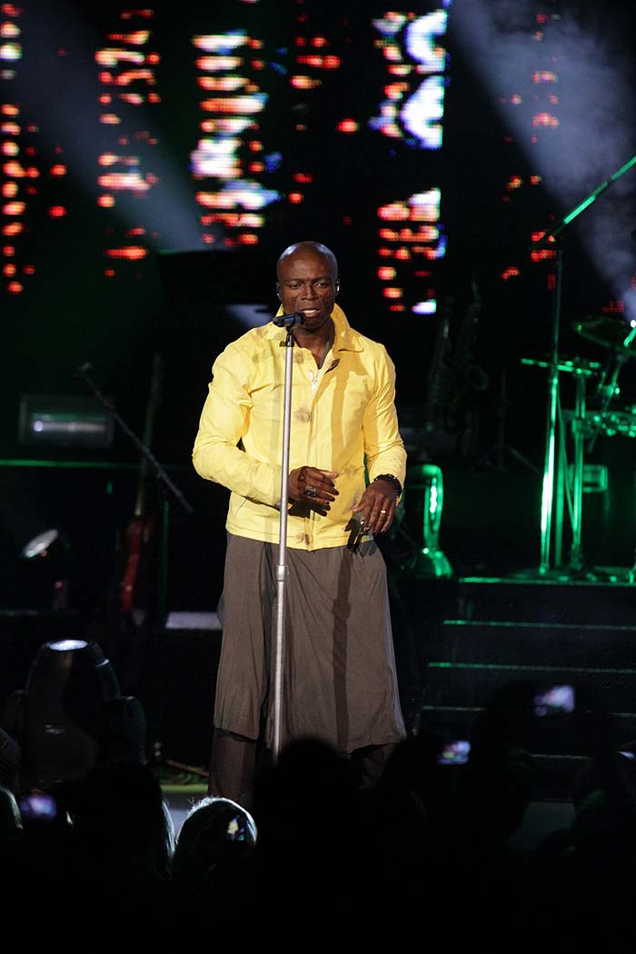 Seal - Citibank Hall - Rio de Janeiro