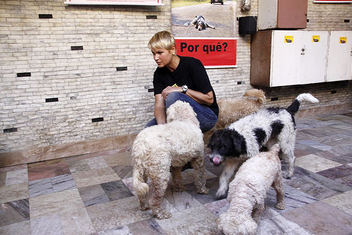 Xuxa visita abrigo de cães e gatos no Rio