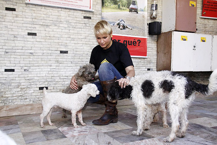 Xuxa visita abrigo de cães e gatos no Rio