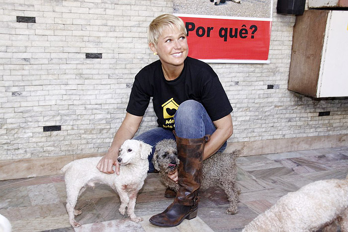 Xuxa visita abrigo de cães e gatos no Rio