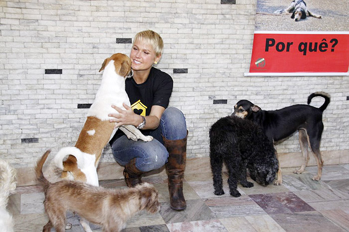 Xuxa visita abrigo de cães e gatos no Rio