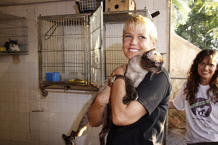 Xuxa visita abrigo de cães e gatos no Rio