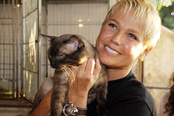 Xuxa visita abrigo de cães e gatos no Rio