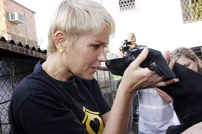 Xuxa visita abrigo de cães e gatos no Rio