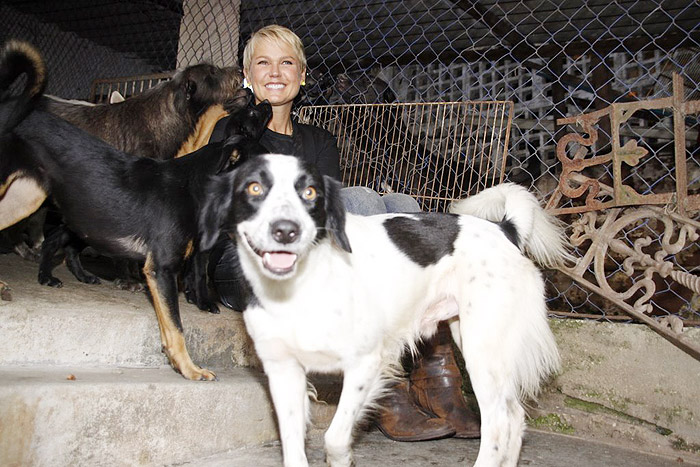 Xuxa visita abrigo de cães e gatos no Rio