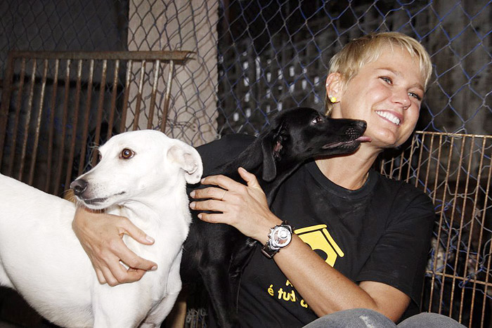 Xuxa visita abrigo de cães e gatos no Rio