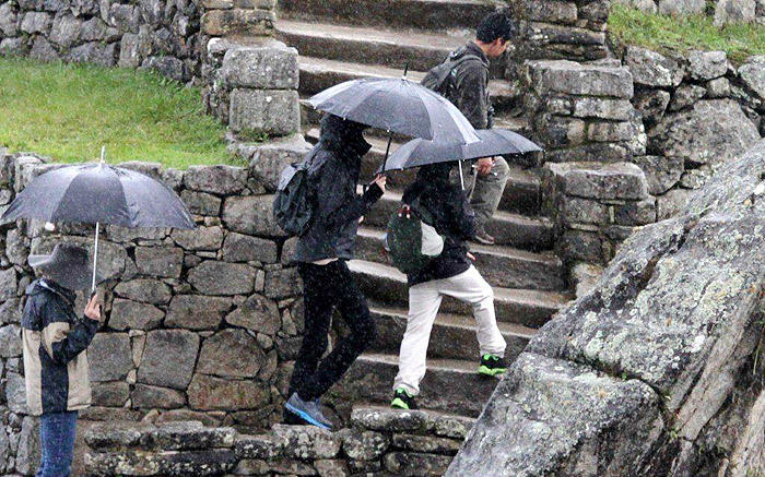 Todos usaram guarda-chuva para se proteger. 