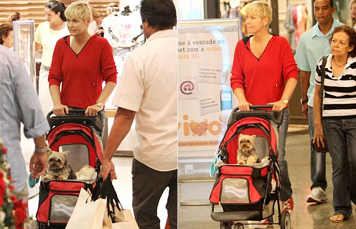 Xuxa leva seu cachorro para passear em um carrinho - Ag.News