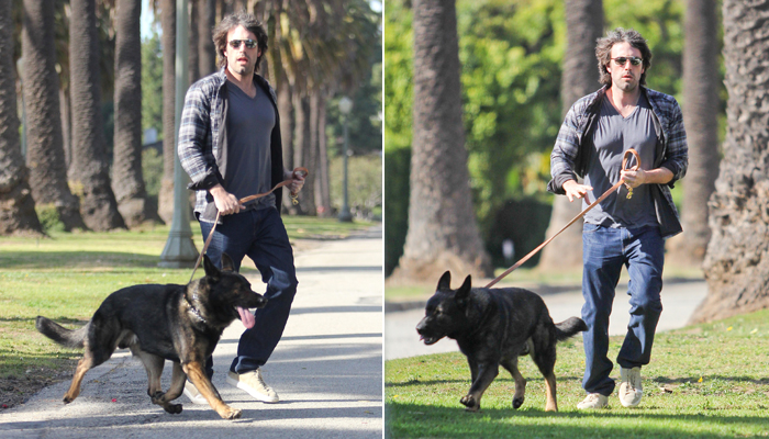Ben Affleck passeia com cachorro com novo visual. OFuxico
