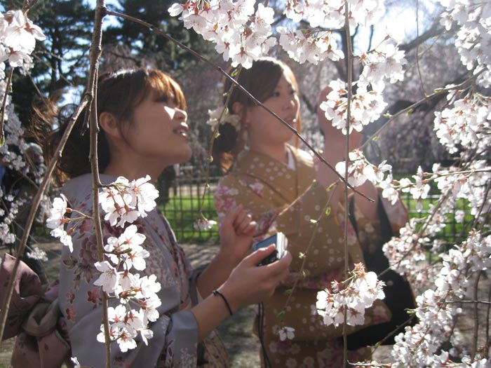 The Tsunami and the Cherry Blossom - Melhor documentário de curta-metragem