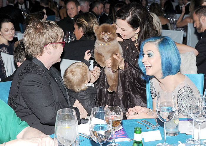 O pequeno Zachary, Elton John, Fran Drescher e Katy Perry