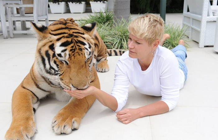 Tigre invade a piscina da mansão de Xuxa Meneghel