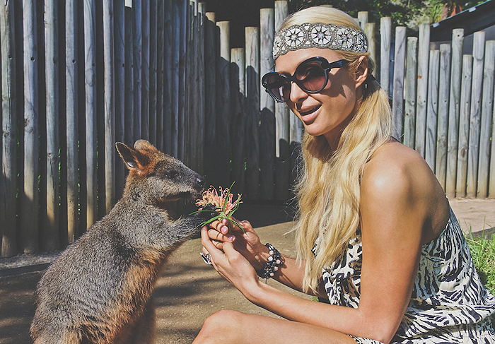 Animalzinho de zoológico se apaixona por Paris Hilton 