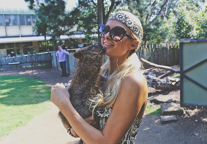 Animalzinho de zoológico se apaixona por Paris Hilton 