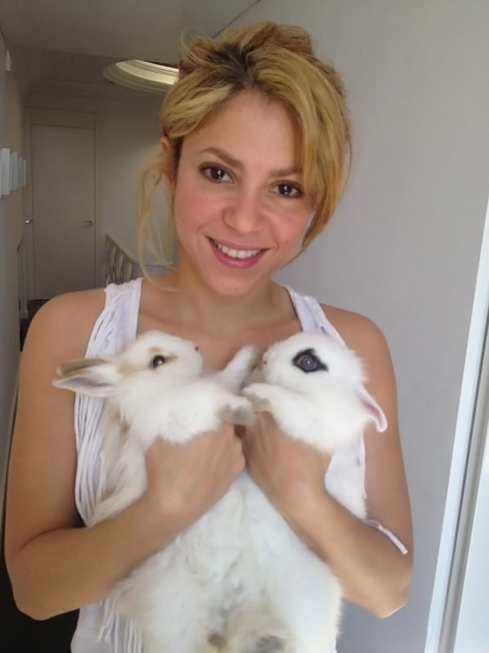 Shakira posta foto ao lado de seus coelhinhos no Twitter