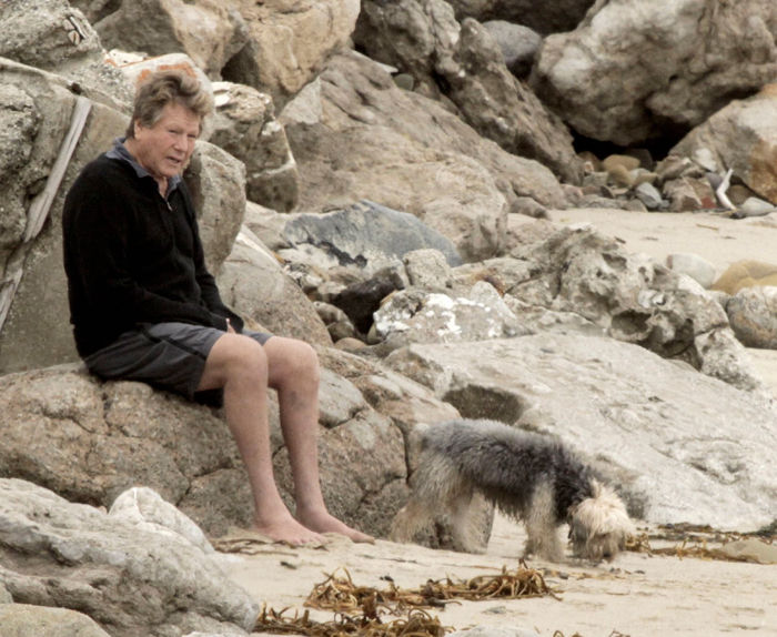 Depois de diagnóstico de câncer, Ryan O'Neal passeia com os cães, em Malibu