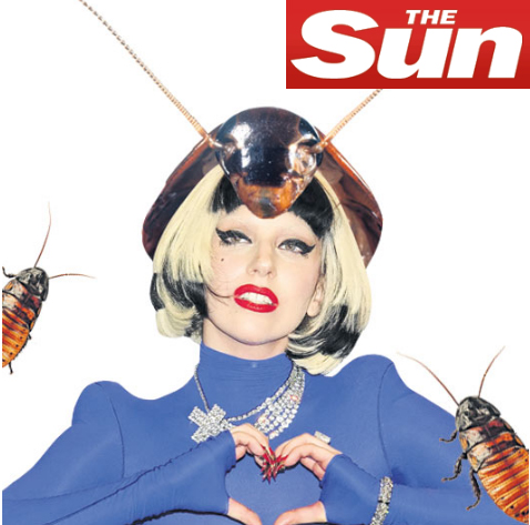 'A loka': Lady Gaga encomenda chapéu com baratas vivas