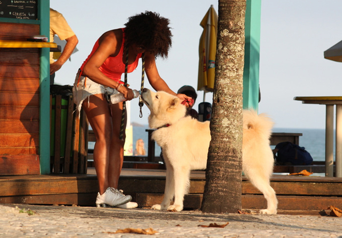 Adriana Bombom escova o cachorro na rua