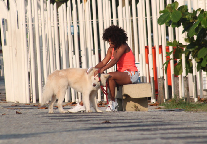 Adriana Bombom escova o cachorro na rua