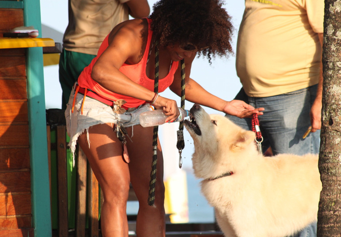 Adriana Bombom escova o cachorro na rua