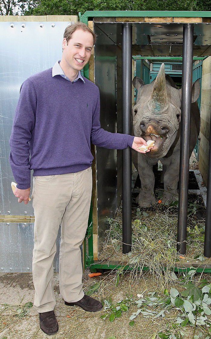 Príncipe William alimenta rinoceronte na Inglaterra
