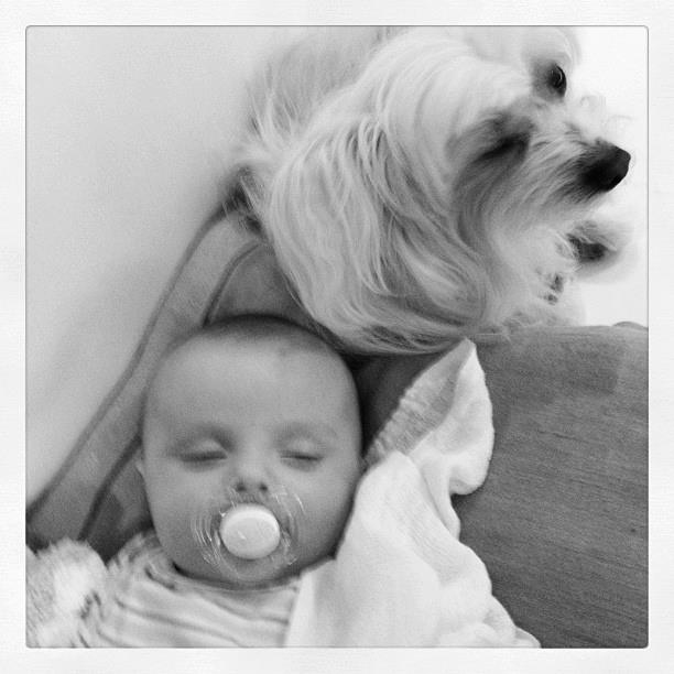 Ana Maria Braga posta foto do neto dormindo ao lado de sua cachorra