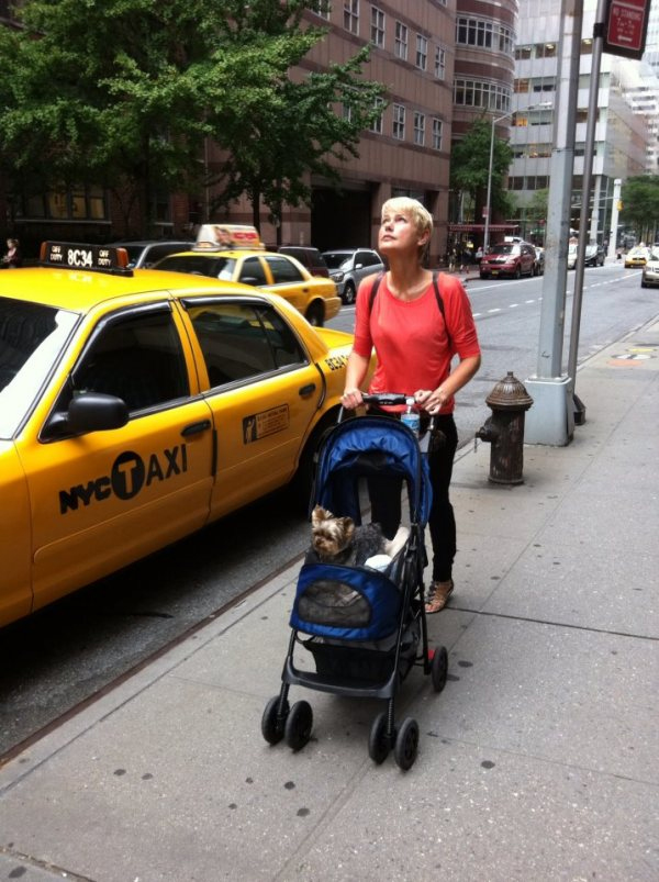Xuxa leva yorkshire para passear em Nova York em carrinho de bebê