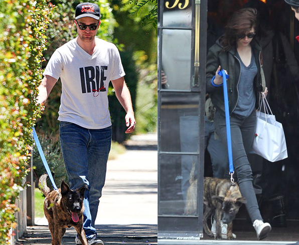 Robert Pattinson e  Kristen Stewart brigam pela custodia do cachorro O Fuxico