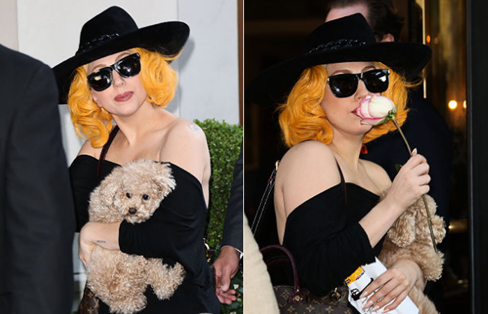 Lady Gaga carrega filhote nos braços ao chegar a Viena