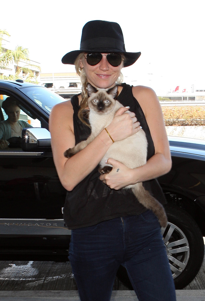 Ke$ha leva gato para aeroporto de Los Angeles