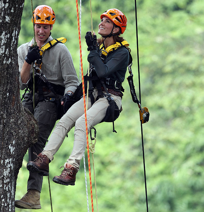Príncipe William e Kate Middleton escalam árvore de 39 metros, em Bornéu 