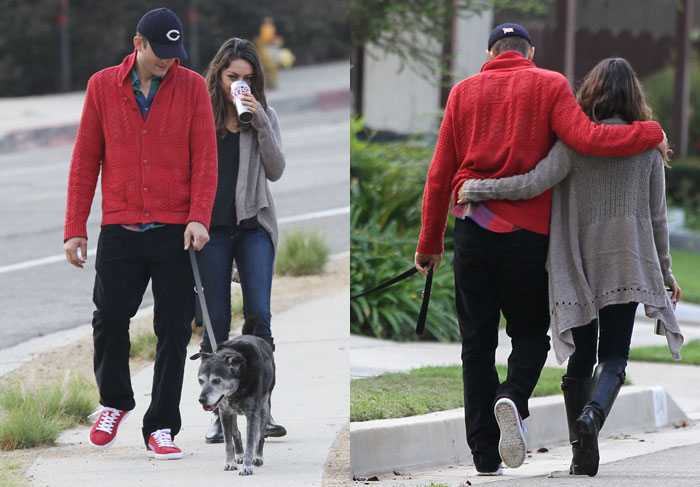  Ashton Kutcher e Mila Kunis passeiam com o cachorro de estimação