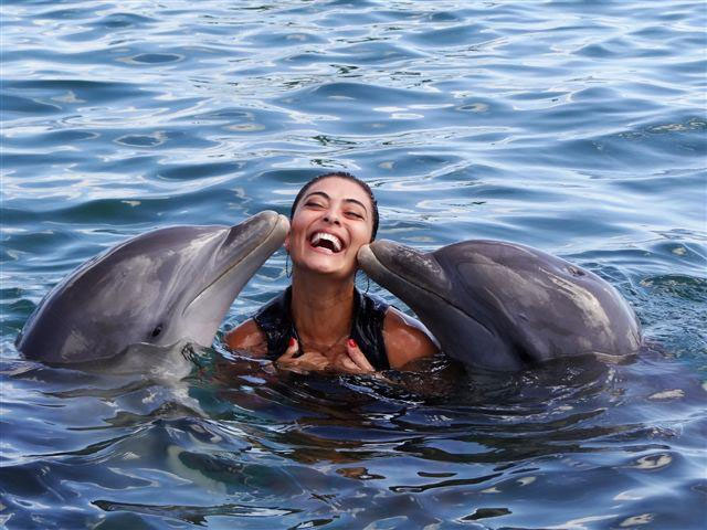 Juliana Paes mergulha com golfinhos, nas Ilhas Cayman