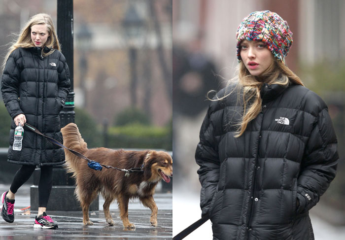 Amanda Seyfried leva cachorro pra passear todo agasalhado