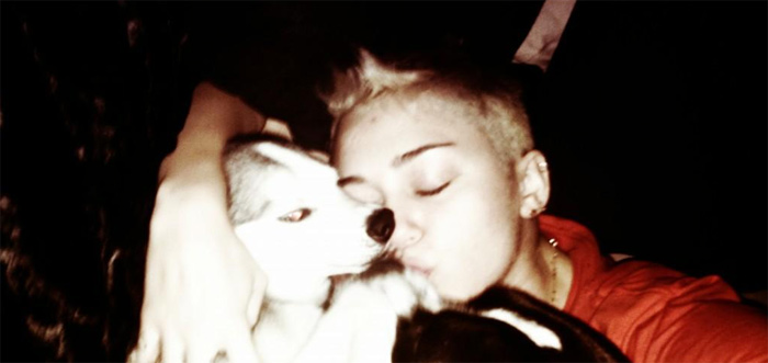 Miley Cyrus busca consolo com suas outras pets, depois da morte de Lila