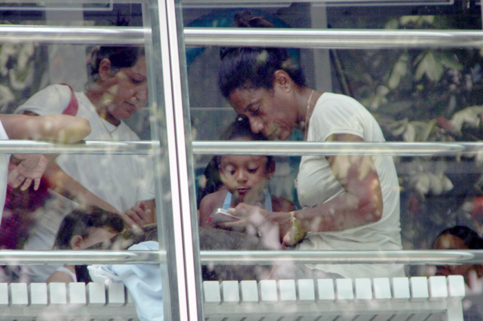 Glória Maria leva suas pequenas para aula de natação