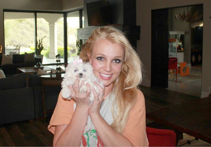 Britney Spears mostra o novo cachorrinho aos fãs