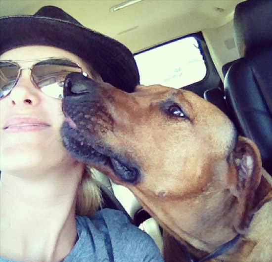 Ana Hickmann ganha ‘beijinho’ no rosto de seu cachorro