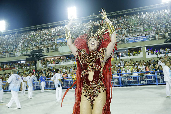 Confira o desfile da Beija- Flor