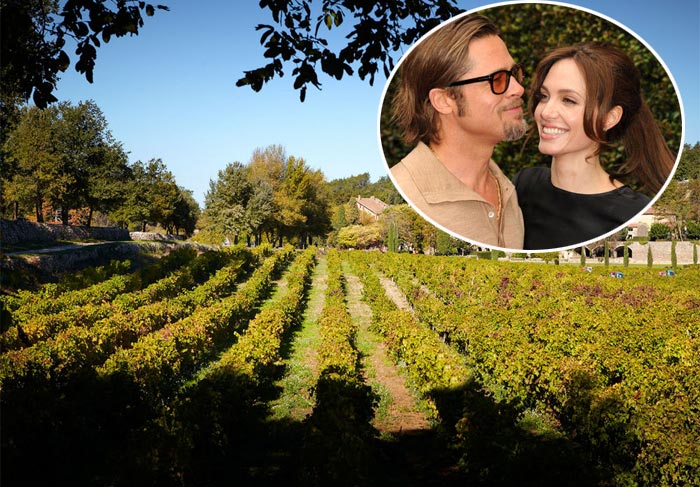 Primeiro vinho de Brad Pitt e Angelina Jolie já pode ser comprado pela internet