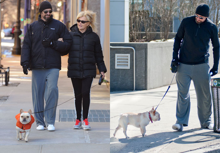 Cãozinho rouba a cena de Hugh Jackman durante passeio, em Nova York