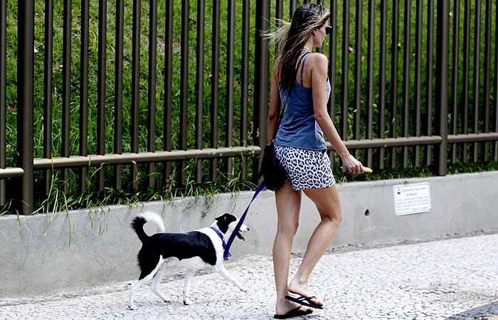 Ellen Jabour faz passeio vespertino com seu cão