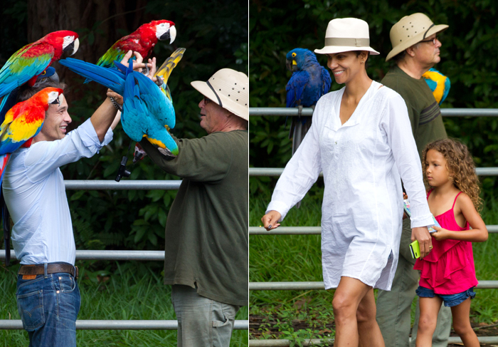 Olivier Martinez se diverte com araras durante viagem com Halle Berry ao Havaí