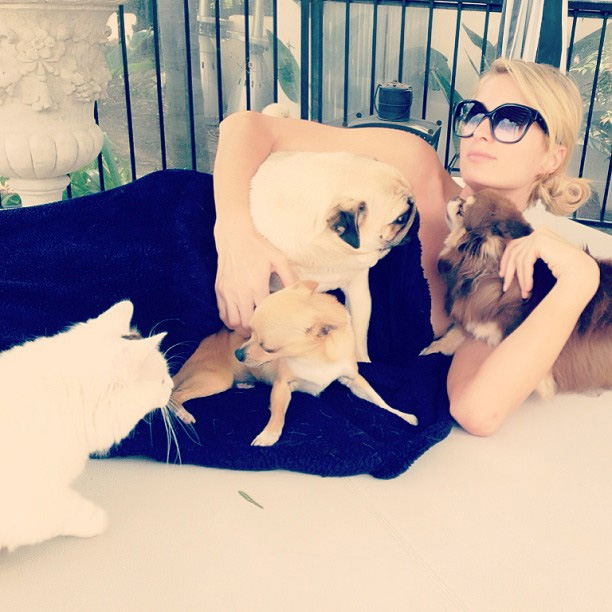 Paris Hilton mima seus animais de estimação