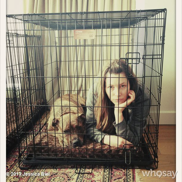 Jessica Biel se tranca em gaiola com sua cachorra