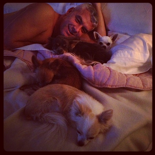 Ana Hickmann posta foto da “família” na cama